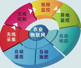 農村物聯網綜合信息服務項目網絡技術服務收尾工作全面展開