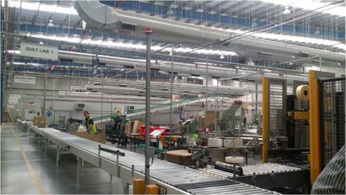 羊毛變金子 探訪澳洲最神秘工廠，揭秘世界頂尖羊毛加工技術轉讓之路